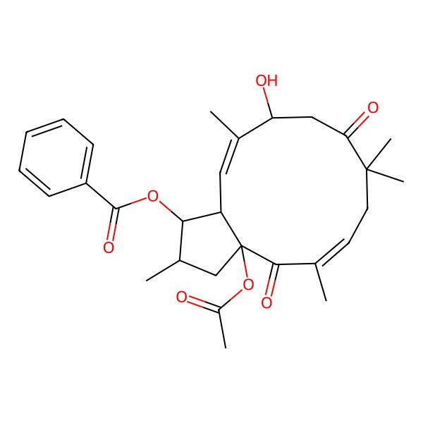 2D Structure of (3a-acetyloxy-11-hydroxy-2,5,8,8,12-pentamethyl-4,9-dioxo-2,3,7,10,11,13a-hexahydro-1H-cyclopenta[12]annulen-1-yl) benzoate
