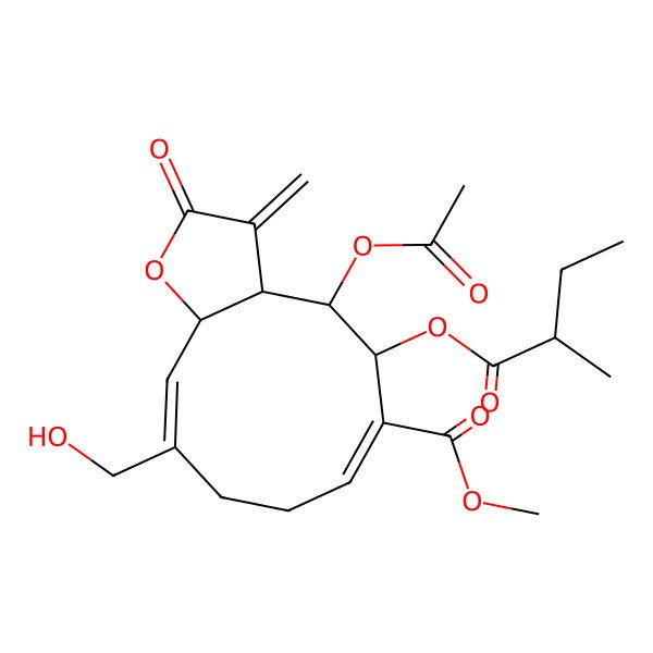 2D Structure of methyl (3aS,4S,5S,6E,10E,11aR)-4-acetyloxy-10-(hydroxymethyl)-5-[(2R)-2-methylbutanoyl]oxy-3-methylidene-2-oxo-3a,4,5,8,9,11a-hexahydrocyclodeca[b]furan-6-carboxylate