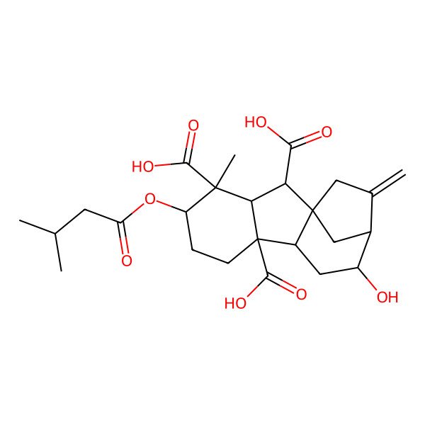 2D Structure of 11-Hydroxy-4-methyl-5-(3-methylbutanoyloxy)-13-methylidenetetracyclo[10.2.1.01,9.03,8]pentadecane-2,4,8-tricarboxylic acid