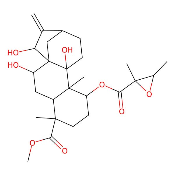2D Structure of (2,10,15-Trihydroxy-5-methoxycarbonyl-5,9-dimethyl-14-methylidene-8-tetracyclo[11.2.1.01,10.04,9]hexadecanyl) 2,3-dimethyloxirane-2-carboxylate