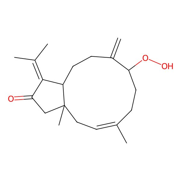 2D Structure of (3aS,5E,9S,12aR)-9-hydroperoxy-3a,6-dimethyl-10-methylidene-1-propan-2-ylidene-3,4,7,8,9,11,12,12a-octahydrocyclopenta[11]annulen-2-one
