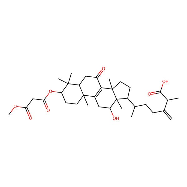 2D Structure of 6-[12-Hydroxy-3-(3-methoxy-3-oxopropanoyl)oxy-4,4,10,13,14-pentamethyl-7-oxo-1,2,3,5,6,11,12,15,16,17-decahydrocyclopenta[a]phenanthren-17-yl]-2-methyl-3-methylideneheptanoic acid
