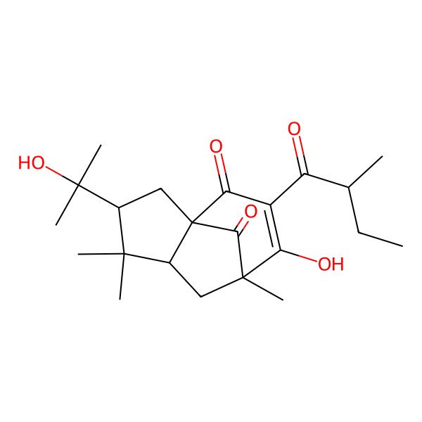 2D Structure of 8-Hydroxy-3-(2-hydroxypropan-2-yl)-4,4,7-trimethyl-9-(2-methylbutanoyl)tricyclo[5.3.1.01,5]undec-8-ene-10,11-dione