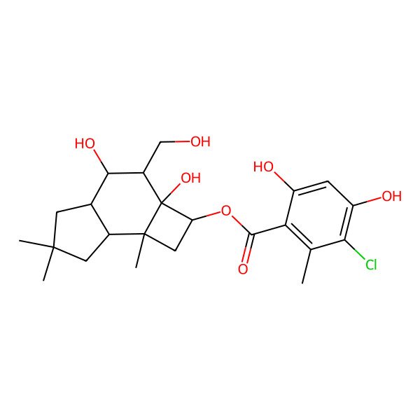 2D Structure of [2a,4-Dihydroxy-3-(hydroxymethyl)-6,6,7b-trimethyl-1,2,3,4,4a,5,7,7a-octahydrocyclobuta[e]inden-2-yl] 3-chloro-4,6-dihydroxy-2-methylbenzoate
