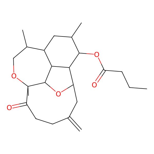 2D Structure of [(1R,2R,3S,4S,5S,7R,8S,11S,17R)-5,8,11-trimethyl-15-methylidene-12-oxo-10,18-dioxatetracyclo[9.7.0.02,7.03,17]octadecan-4-yl] butanoate