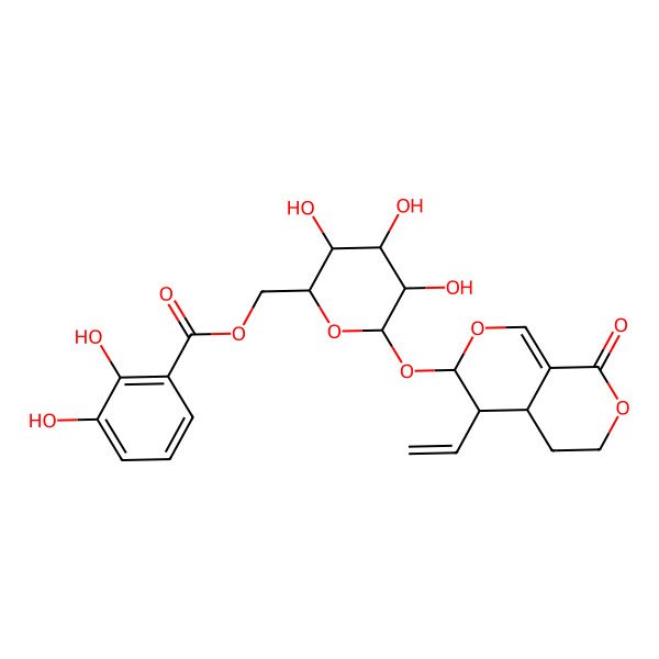 2D Structure of [6-[(4-ethenyl-8-oxo-4,4a,5,6-tetrahydro-3H-pyrano[3,4-c]pyran-3-yl)oxy]-3,4,5-trihydroxyoxan-2-yl]methyl 2,3-dihydroxybenzoate