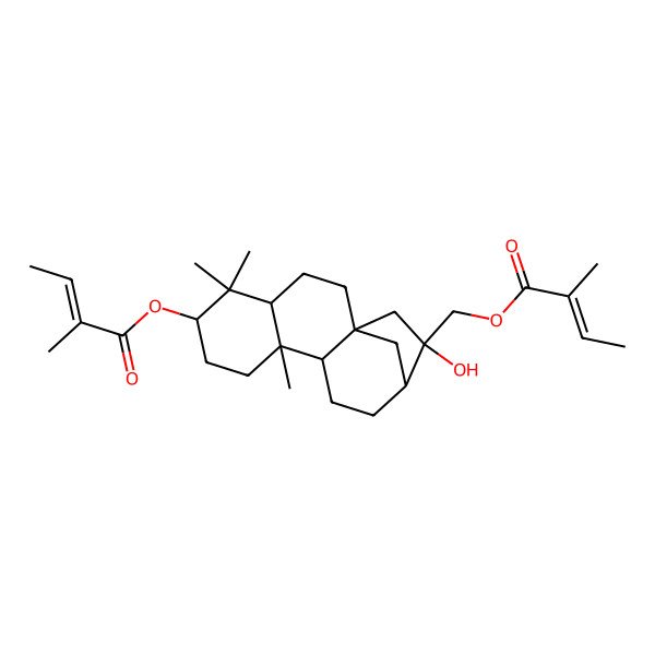 2D Structure of [(1S,4S,6R,9S,10S,13R,14R)-14-hydroxy-5,5,9-trimethyl-6-[(Z)-2-methylbut-2-enoyl]oxy-14-tetracyclo[11.2.1.01,10.04,9]hexadecanyl]methyl (Z)-2-methylbut-2-enoate