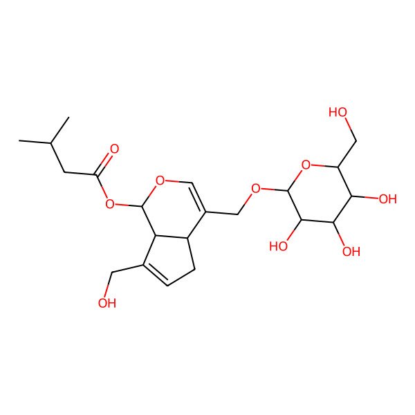 2D Structure of [(1S,4aS,7aS)-7-(hydroxymethyl)-4-[[(2R,3R,4S,5S,6R)-3,4,5-trihydroxy-6-(hydroxymethyl)oxan-2-yl]oxymethyl]-1,4a,5,7a-tetrahydrocyclopenta[c]pyran-1-yl] 3-methylbutanoate