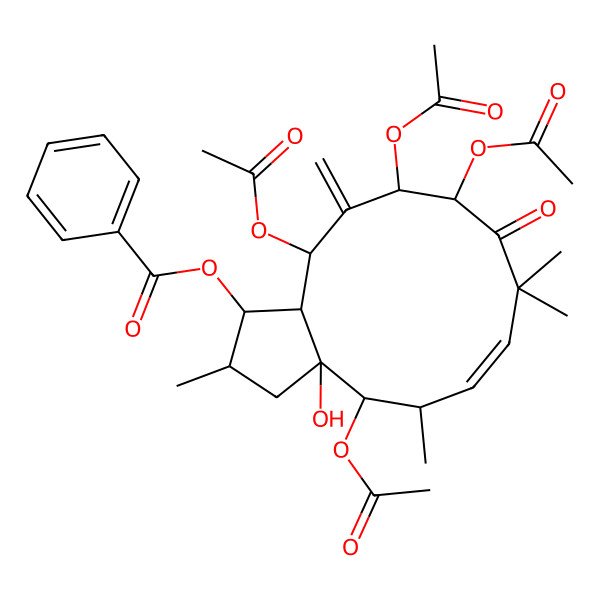 2D Structure of [(1S,2S,3aR,4R,5R,6E,10R,11S,13R,13aR)-4,10,11,13-tetraacetyloxy-3a-hydroxy-2,5,8,8-tetramethyl-12-methylidene-9-oxo-2,3,4,5,10,11,13,13a-octahydro-1H-cyclopenta[12]annulen-1-yl] benzoate