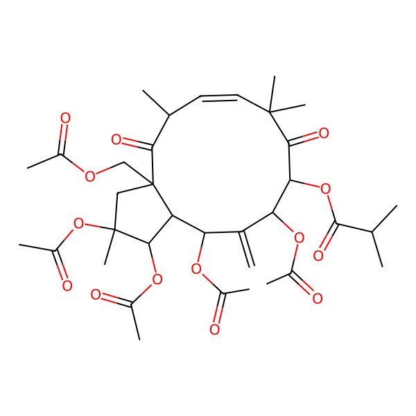 2D Structure of [(1R,2R,3aS,5R,6E,10R,11S,13R,13aS)-1,2,11,13-tetraacetyloxy-3a-(acetyloxymethyl)-2,5,8,8-tetramethyl-12-methylidene-4,9-dioxo-3,5,10,11,13,13a-hexahydro-1H-cyclopenta[12]annulen-10-yl] 2-methylpropanoate