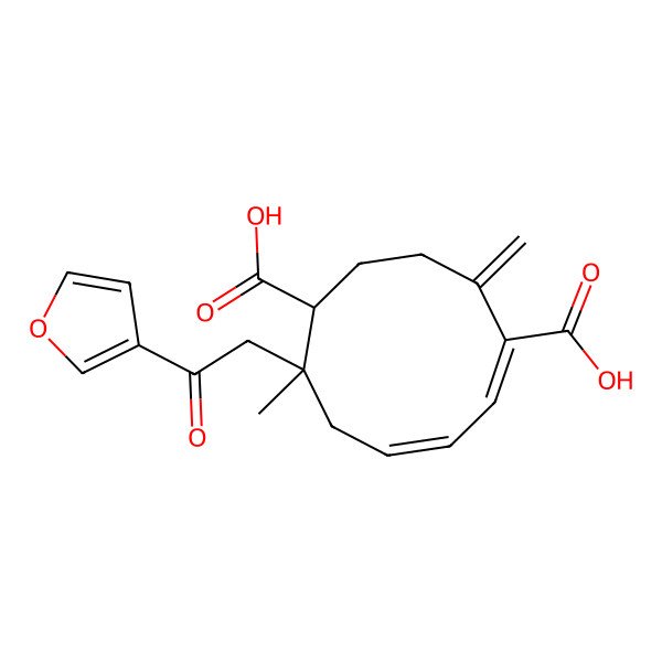 2D Structure of (1R,5E,7Z,10S)-10-[2-(furan-3-yl)-2-oxoethyl]-10-methyl-4-methylidenecyclodeca-5,7-diene-1,5-dicarboxylic acid
