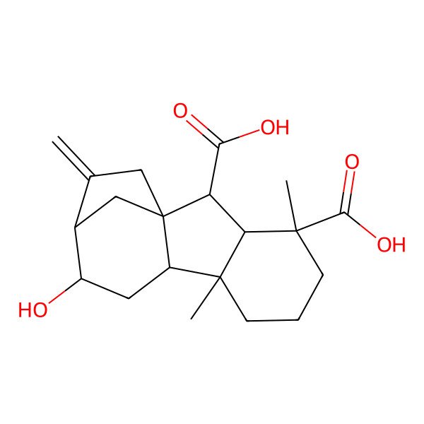 2D Structure of (1S,2S,3S,4R,8R,9S,11R,12R)-11-hydroxy-4,8-dimethyl-13-methylidenetetracyclo[10.2.1.01,9.03,8]pentadecane-2,4-dicarboxylic acid