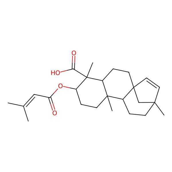 2D Structure of 5,9,13-Trimethyl-6-(3-methylbut-2-enoyloxy)tetracyclo[11.2.1.01,10.04,9]hexadec-14-ene-5-carboxylic acid