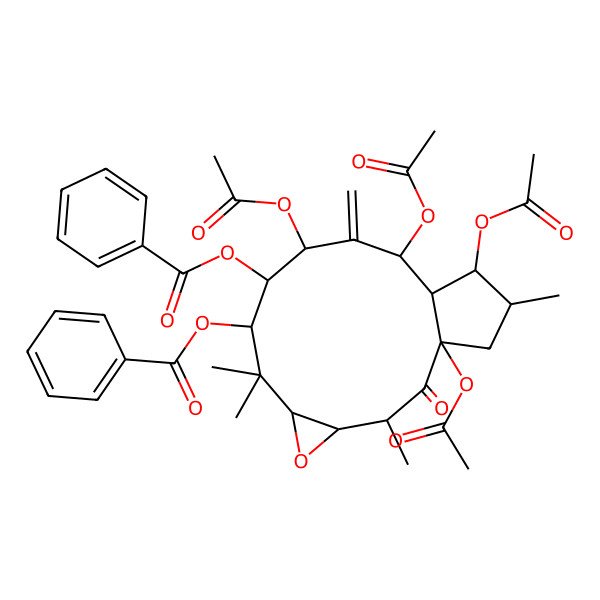 2D Structure of (1,10,12,14-Tetraacetyloxy-8-benzoyloxy-3,7,7,15-tetramethyl-11-methylidene-2-oxo-5-oxatricyclo[11.3.0.04,6]hexadecan-9-yl) benzoate