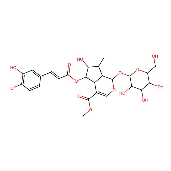 2D Structure of methyl (1S,4aS,5S,6R,7S,7aR)-5-[(E)-3-(3,4-dihydroxyphenyl)prop-2-enoyl]oxy-6-hydroxy-7-methyl-1-[(2S,3R,4S,5S,6R)-3,4,5-trihydroxy-6-(hydroxymethyl)oxan-2-yl]oxy-1,4a,5,6,7,7a-hexahydrocyclopenta[c]pyran-4-carboxylate