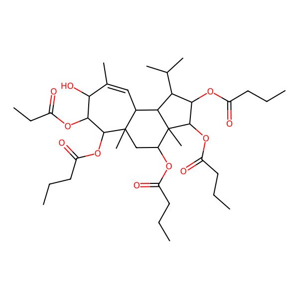 2D Structure of [(1R,2R,3R,3aR,4S,5aR,6S,7S,8S,10aS,10bR)-2,3,6-tri(butanoyloxy)-8-hydroxy-3a,5a,9-trimethyl-7-propanoyloxy-1-propan-2-yl-1,2,3,4,5,6,7,8,10a,10b-decahydrocyclohepta[e]inden-4-yl] butanoate