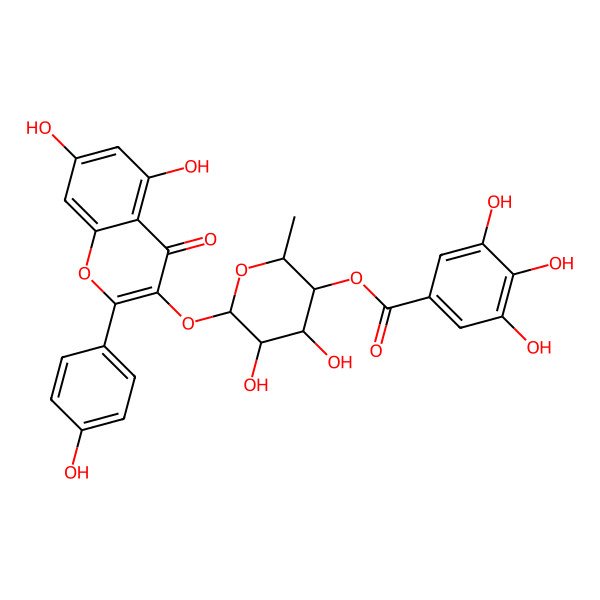 2D Structure of [(2R,3R,4R,5S,6R)-6-[5,7-dihydroxy-2-(4-hydroxyphenyl)-4-oxo-chromen-3-yl]oxy-4,5-dihydroxy-2-methyl-tetrahydropyran-3-yl] 3,4,5-trihydroxybenzoate