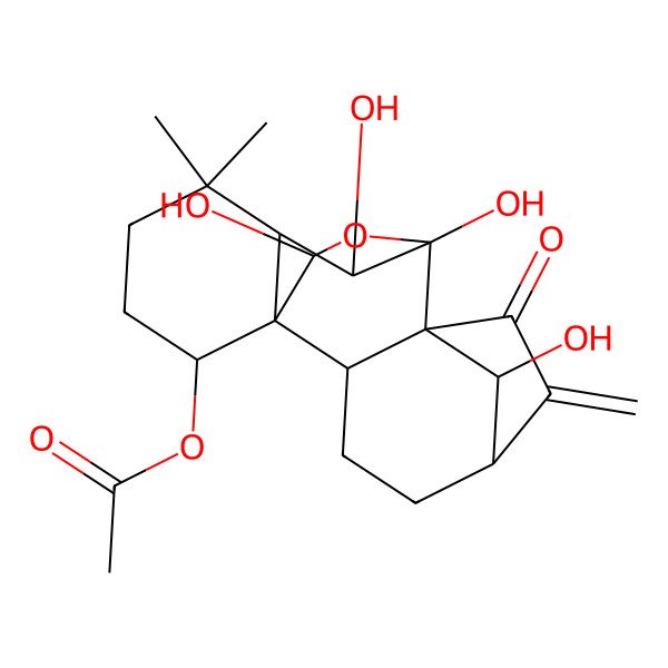 2D Structure of [(1R,2S,5S,8R,9S,10S,11R,15S,16S,18R)-9,10,16,18-tetrahydroxy-12,12-dimethyl-6-methylidene-7-oxo-17-oxapentacyclo[7.6.2.15,8.01,11.02,8]octadecan-15-yl] acetate