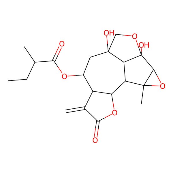 2D Structure of [(1S,2S,6R,7S,9S,12S,13S,15S,16R)-9,12-dihydroxy-15-methyl-5-methylidene-4-oxo-3,11,14-trioxapentacyclo[7.6.1.02,6.012,16.013,15]hexadecan-7-yl] (2S)-2-methylbutanoate
