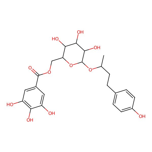 2D Structure of [(2R,3S,4S,5R,6R)-3,4,5-trihydroxy-6-[(2S)-4-(4-hydroxyphenyl)butan-2-yl]oxyoxan-2-yl]methyl 3,4,5-trihydroxybenzoate
