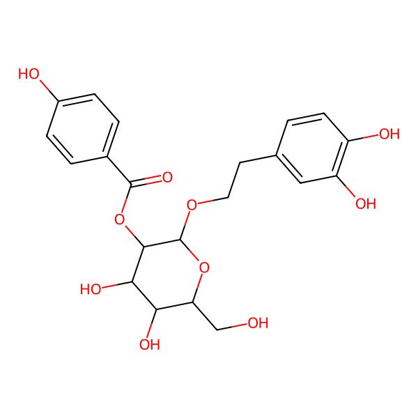 2D Structure of [(2R,3R,4S,5S,6R)-2-[2-(3,4-dihydroxyphenyl)ethoxy]-4,5-dihydroxy-6-(hydroxymethyl)oxan-3-yl] 4-hydroxybenzoate