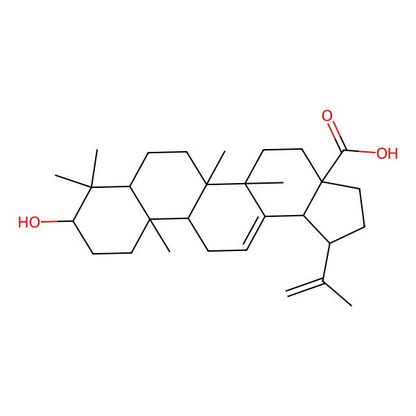 2D Structure of 9-Hydroxy-5a,5b,8,8,11a-pentamethyl-1-prop-1-en-2-yl-1,2,3,4,5,6,7,7a,9,10,11,11b,12,13b-tetradecahydrocyclopenta[a]chrysene-3a-carboxylic acid