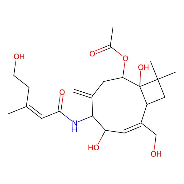 2D Structure of [1,6-Dihydroxy-8-(hydroxymethyl)-5-[(5-hydroxy-3-methylpent-2-enoyl)amino]-11,11-dimethyl-4-methylidene-2-bicyclo[7.2.0]undec-7-enyl] acetate