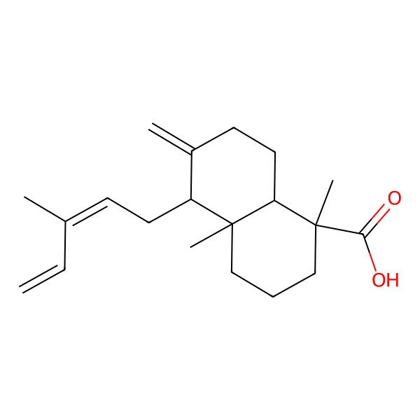 2D Structure of (1R,4aR,5R,8aS)-1,4a-dimethyl-6-methylidene-5-[(2E)-3-methylpenta-2,4-dienyl]-3,4,5,7,8,8a-hexahydro-2H-naphthalene-1-carboxylic acid