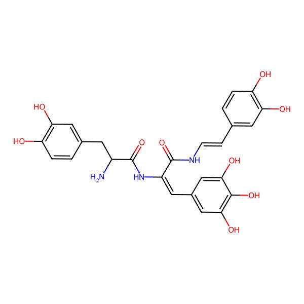 2D Structure of 2-amino-3-(3,4-dihydroxyphenyl)-N-[3-[2-(3,4-dihydroxyphenyl)ethenylamino]-3-oxo-1-(3,4,5-trihydroxyphenyl)prop-1-en-2-yl]propanamide