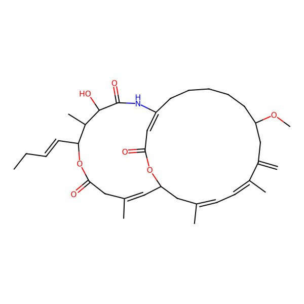 2D Structure of (3Z,5E,15Z,24Z)-20-[(Z)-but-1-enyl]-18-hydroxy-9-methoxy-3,6,19,24-tetramethyl-7-methylidene-21,26-dioxa-16-azabicyclo[13.10.3]octacosa-3,5,15(28),24-tetraene-17,22,27-trione