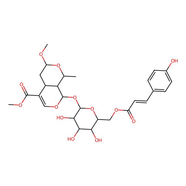 2D Structure of methyl (1S,3R,4aS,8S,8aS)-3-methoxy-1-methyl-8-[(2S,3R,4S,5S,6R)-3,4,5-trihydroxy-6-[[(E)-3-(4-hydroxyphenyl)prop-2-enoyl]oxymethyl]oxan-2-yl]oxy-1,3,4,4a,8,8a-hexahydropyrano[3,4-c]pyran-5-carboxylate