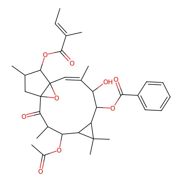 2D Structure of [(1R,3R,4S,5R,7S,8S,9R,10E,12S,13S,14S)-4-acetyloxy-9-hydroxy-3,6,6,10,14-pentamethyl-13-[(E)-2-methylbut-2-enoyl]oxy-2-oxo-16-oxatetracyclo[10.3.1.01,12.05,7]hexadec-10-en-8-yl] benzoate