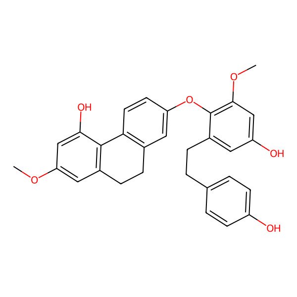 2D Structure of 7-[4-Hydroxy-2-[2-(4-hydroxyphenyl)ethyl]-6-methoxyphenoxy]-2-methoxy-9,10-dihydrophenanthren-4-ol