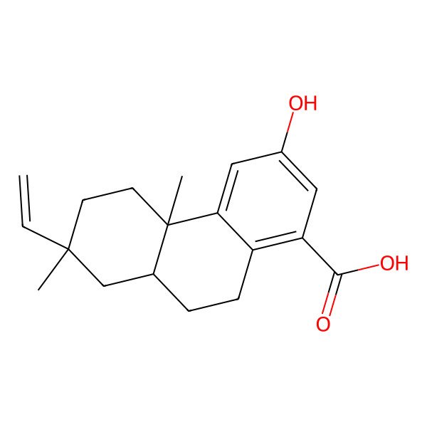 2D Structure of 7-Ethenyl-3-hydroxy-4b,7-dimethyl-5,6,8,8a,9,10-hexahydrophenanthrene-1-carboxylic acid 2D Structure of 7-Ethenyl-3-hydroxy-4b,7-dimethyl-5,6,8,8a,9,10-hexahydrophenanthrene-1-carboxylic acid