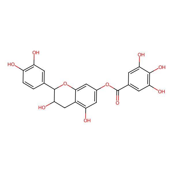 2D Structure of 7-Galloylcatechin