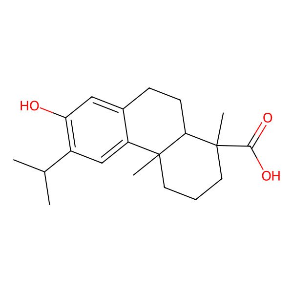 2D Structure of 7-Hydroxy-1,4a-dimethyl-6-propan-2-yl-2,3,4,9,10,10a-hexahydrophenanthrene-1-carboxylic acid 2D Structure of 7-Hydroxy-1,4a-dimethyl-6-propan-2-yl-2,3,4,9,10,10a-hexahydrophenanthrene-1-carboxylic acid
