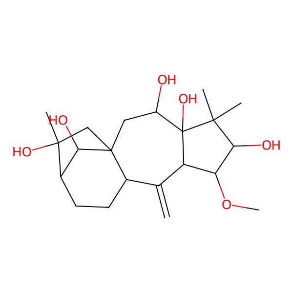 2D Structure of 7-Methoxy-5,5,14-trimethyl-9-methylidenetetracyclo[11.2.1.01,10.04,8]hexadecane-3,4,6,14,16-pentol