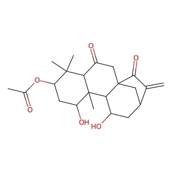 2D Structure of (8,11-Dihydroxy-5,5,9-trimethyl-14-methylidene-3,15-dioxo-6-tetracyclo[11.2.1.01,10.04,9]hexadecanyl) acetate