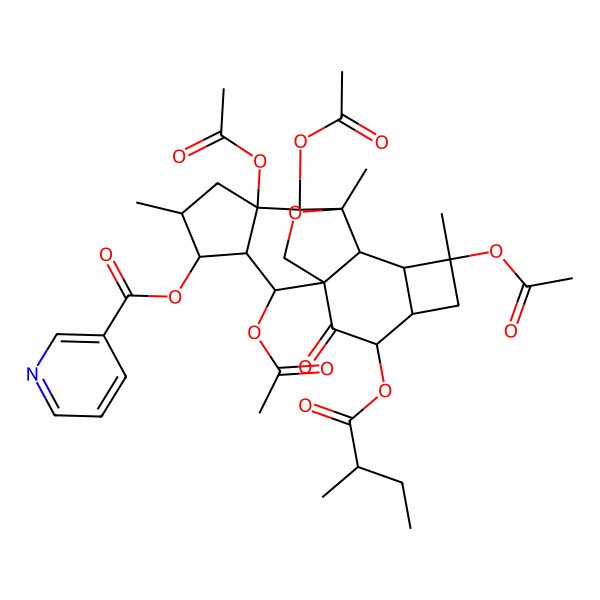 2D Structure of [(1S,2R,3R,4S,5S,7R,8S,9R,10R,11S,12S,14R,15R)-2,7,8,12-tetraacetyloxy-5,9,12-trimethyl-15-[(2R)-2-methylbutanoyl]oxy-16-oxo-18-oxapentacyclo[7.7.2.01,10.03,7.011,14]octadecan-4-yl] pyridine-3-carboxylate