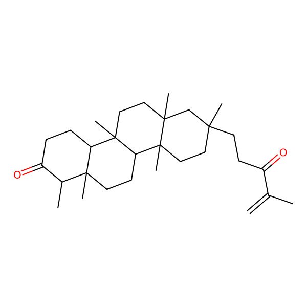 2D Structure of (1R,4aS,4bS,6aS,8S,10aR,10bS,12aS)-1,4b,6a,8,10a,12a-hexamethyl-8-(4-methyl-3-oxopent-4-enyl)-1,3,4,4a,5,6,7,9,10,10b,11,12-dodecahydrochrysen-2-one 2D Structure of (1R,4aS,4bS,6aS,8S,10aR,10bS,12aS)-1,4b,6a,8,10a,12a-hexamethyl-8-(4-methyl-3-oxopent-4-enyl)-1,3,4,4a,5,6,7,9,10,10b,11,12-dodecahydrochrysen-2-one