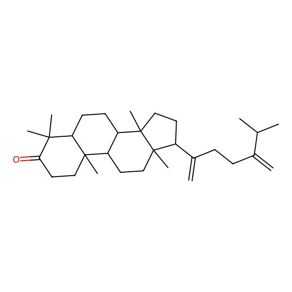2D Structure of (5R,8R,9S,10S,13S,14R,17R)-4,4,10,13,14-pentamethyl-17-(6-methyl-5-methylidenehept-1-en-2-yl)-1,2,5,6,7,8,9,11,12,15,16,17-dodecahydrocyclopenta[a]phenanthren-3-one