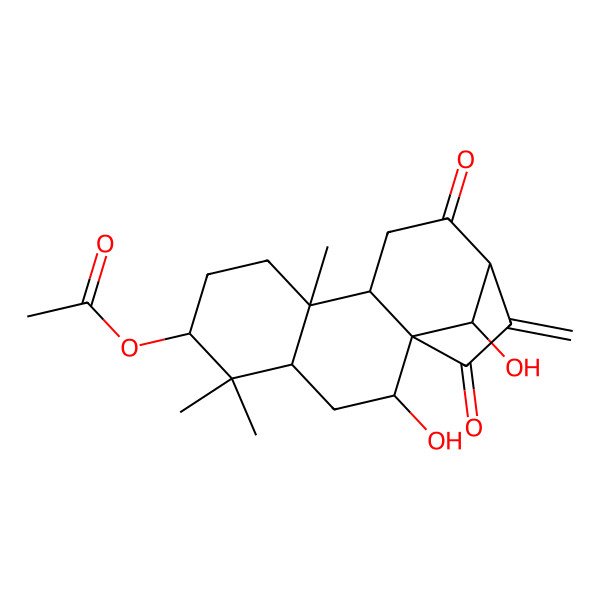 2D Structure of [(1R,2R,4S,6S,9R,10S,13S,16S)-2,16-dihydroxy-5,5,9-trimethyl-14-methylidene-12,15-dioxo-6-tetracyclo[11.2.1.01,10.04,9]hexadecanyl] acetate