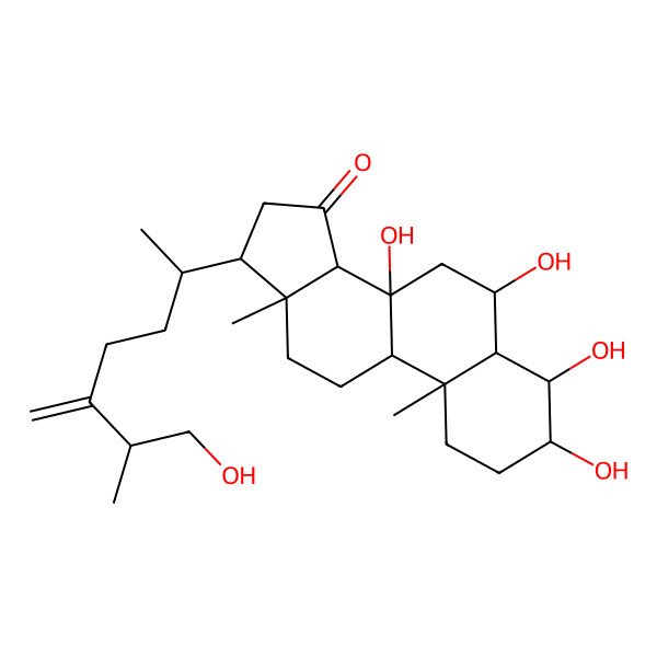 2D Structure of 3,4,6,8-tetrahydroxy-17-(7-hydroxy-6-methyl-5-methylideneheptan-2-yl)-10,13-dimethyl-2,3,4,5,6,7,9,11,12,14,16,17-dodecahydro-1H-cyclopenta[a]phenanthren-15-one
