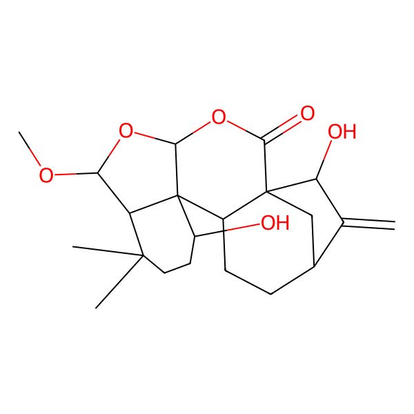 2D Structure of (1S,4S,6R,7R,11S,12S,13S,16R,18R)-11,18-dihydroxy-6-methoxy-8,8-dimethyl-17-methylidene-3,5-dioxapentacyclo[14.2.1.01,13.04,12.07,12]nonadecan-2-one