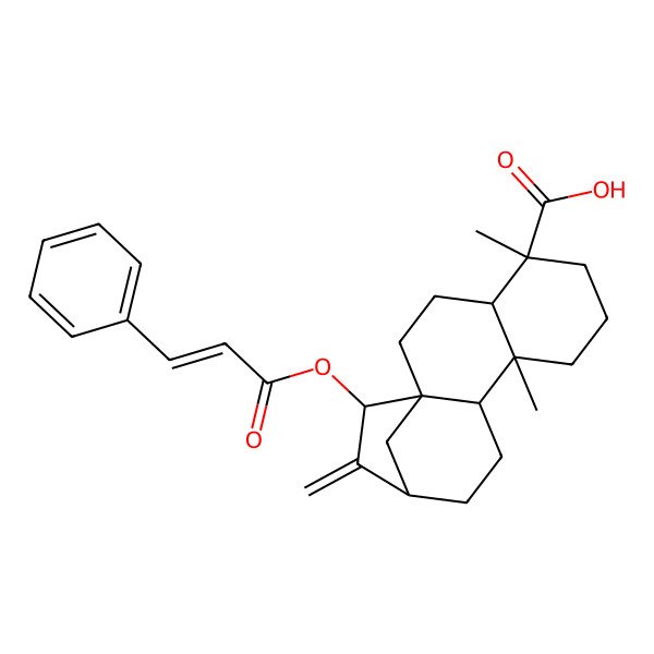 2D Structure of 5,9-Dimethyl-14-methylidene-15-(3-phenylprop-2-enoyloxy)tetracyclo[11.2.1.01,10.04,9]hexadecane-5-carboxylic acid