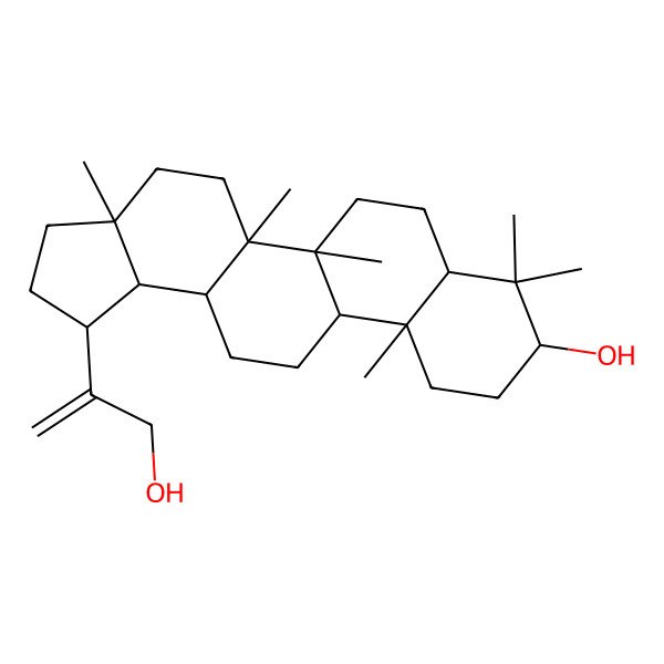 2D Structure of (1R,3aR,5aR,5bR,7aR,9S,11aR,11bR,13aR,13bR)-1-(3-hydroxyprop-1-en-2-yl)-3a,5a,5b,8,8,11a-hexamethyl-1,2,3,4,5,6,7,7a,9,10,11,11b,12,13,13a,13b-hexadecahydrocyclopenta[a]chrysen-9-ol