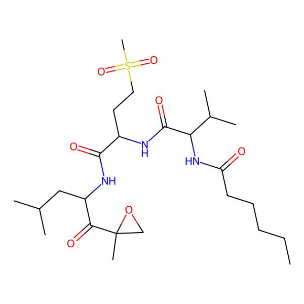 2D Structure of N-[3-methyl-1-[[1-[[4-methyl-1-(2-methyloxiran-2-yl)-1-oxopentan-2-yl]amino]-4-methylsulfonyl-1-oxobutan-2-yl]amino]-1-oxobutan-2-yl]hexanamide