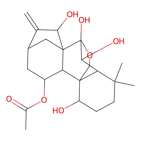 2D Structure of [(1R,2S,3R,5S,7R,8S,9S,10S,11R,15S)-7,9,10,15-tetrahydroxy-12,12-dimethyl-6-methylidene-17-oxapentacyclo[7.6.2.15,8.01,11.02,8]octadecan-3-yl] acetate