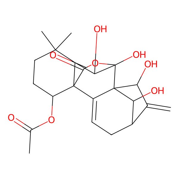 2D Structure of [(1S,5S,7R,8R,9S,10S,11R,15S,18R)-7,9,10,18-tetrahydroxy-12,12-dimethyl-6-methylidene-16-oxo-17-oxapentacyclo[7.6.2.15,8.01,11.02,8]octadec-2-en-15-yl] acetate
