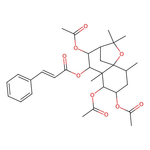 2D Structure of [(1S,2R,4S,5R,6S,7S,8R,9S)-4,5,8-triacetyloxy-2,6,10,10-tetramethyl-11-oxatricyclo[7.2.1.01,6]dodecan-7-yl] (E)-3-phenylprop-2-enoate